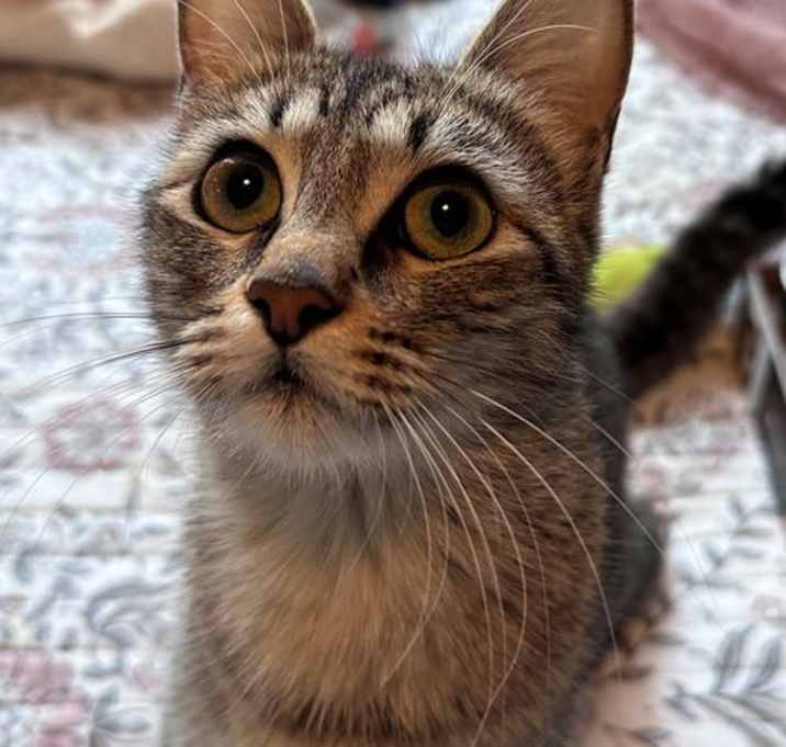Photo of Valentina