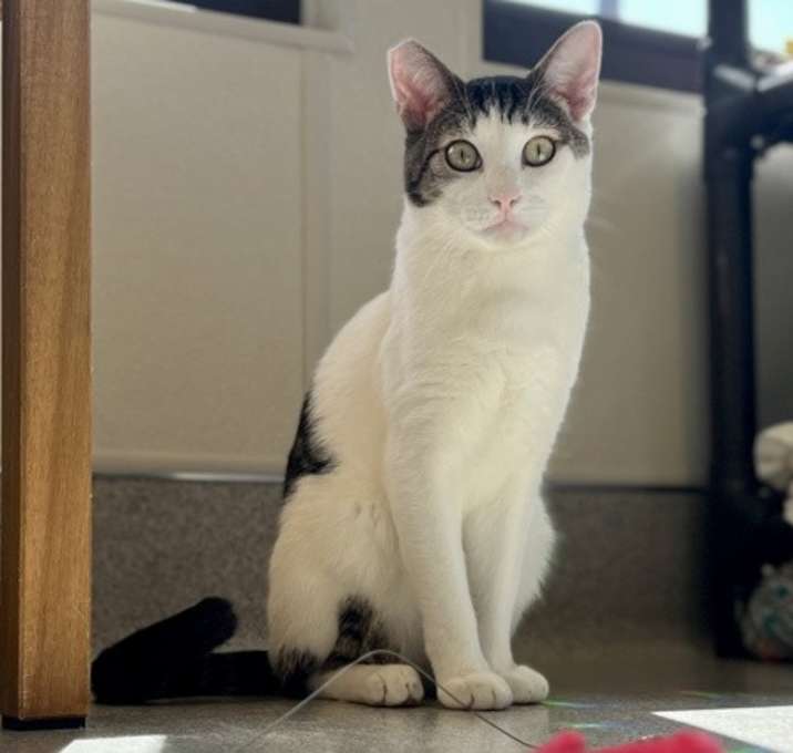 Photo of Oliver