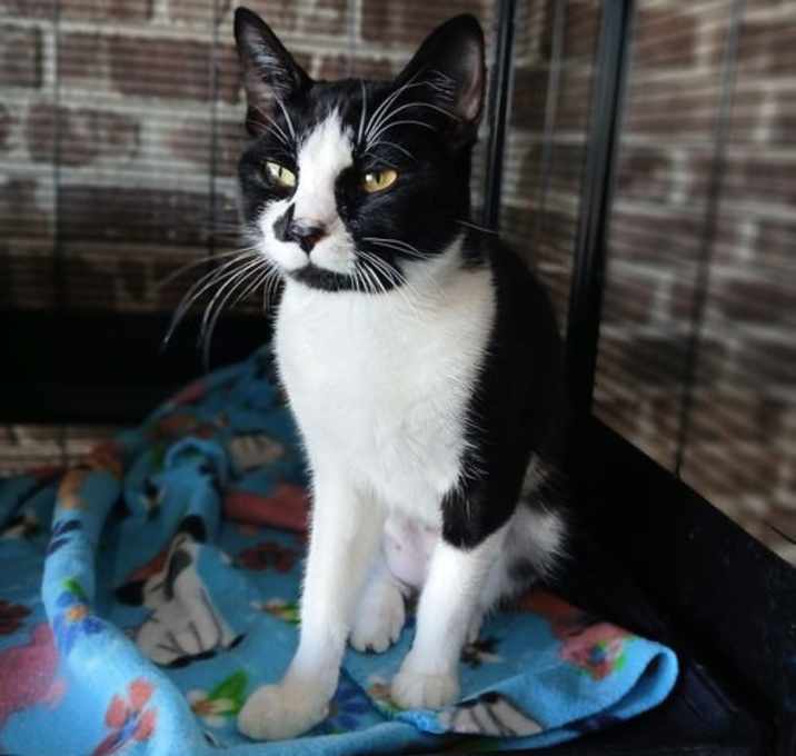 Photo of WILLOW