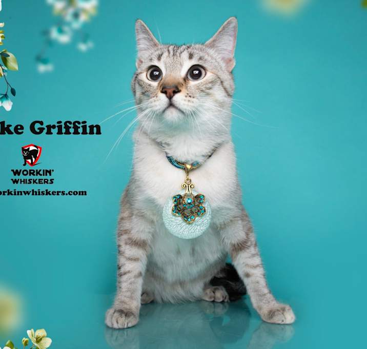Photo of CLARKE GRIFFIN