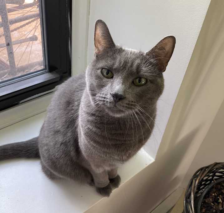 Photo of Frankie