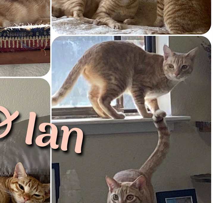 Photo of Deb & Ian