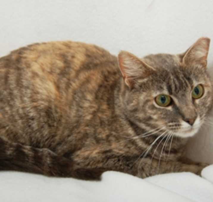 Photo of April