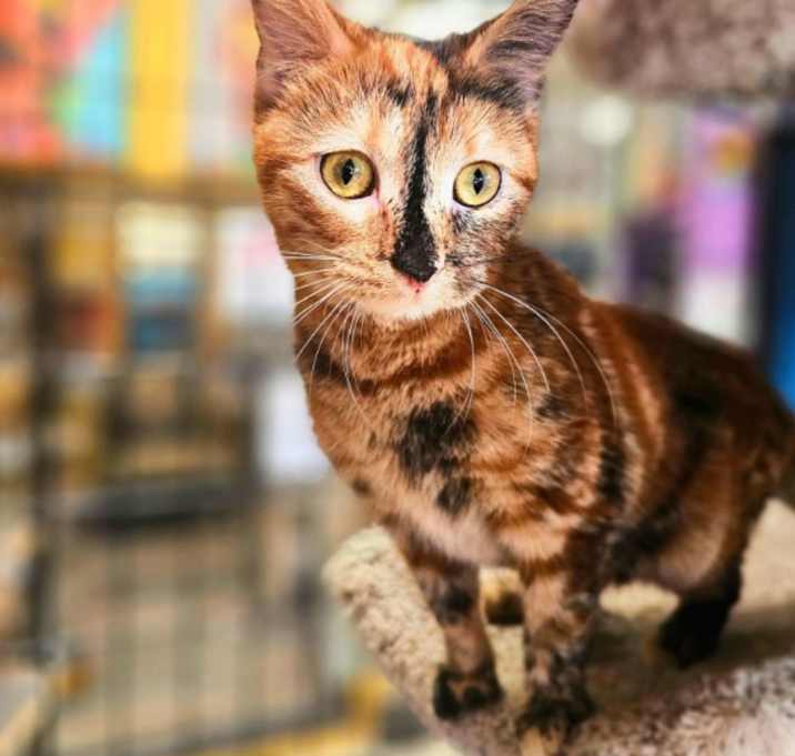 Photo of Gretel