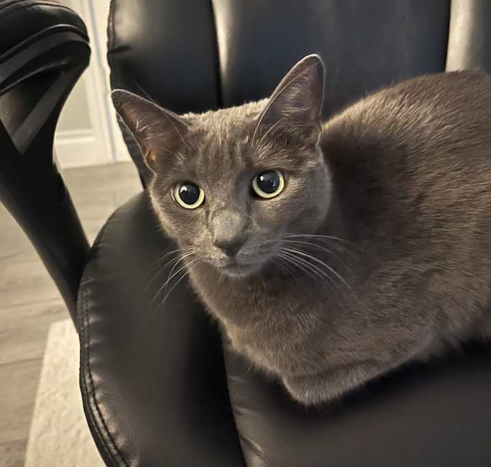 Photo of Juice