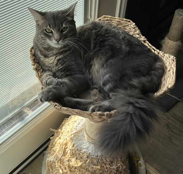 Photo of Krey