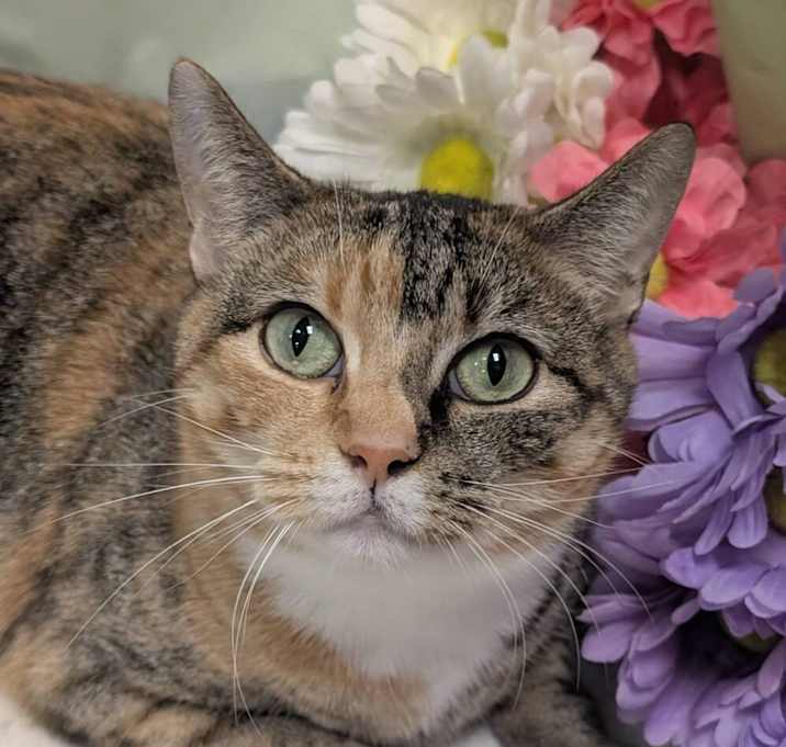 Photo of Cecilia