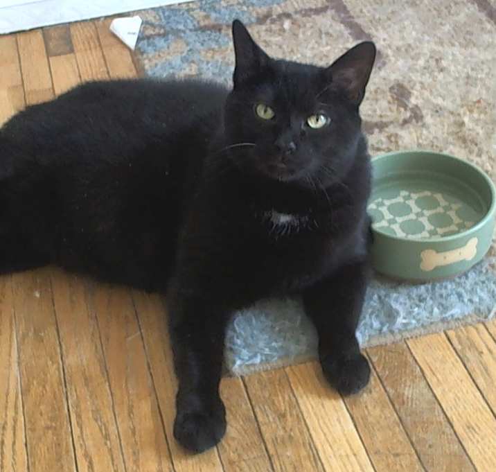 Photo of Bernie