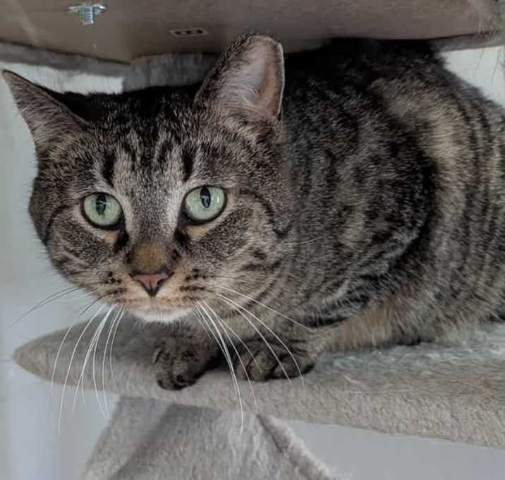 Photo of Hubert