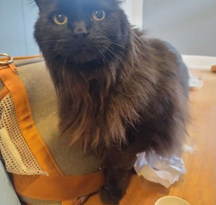 Photo of Bill