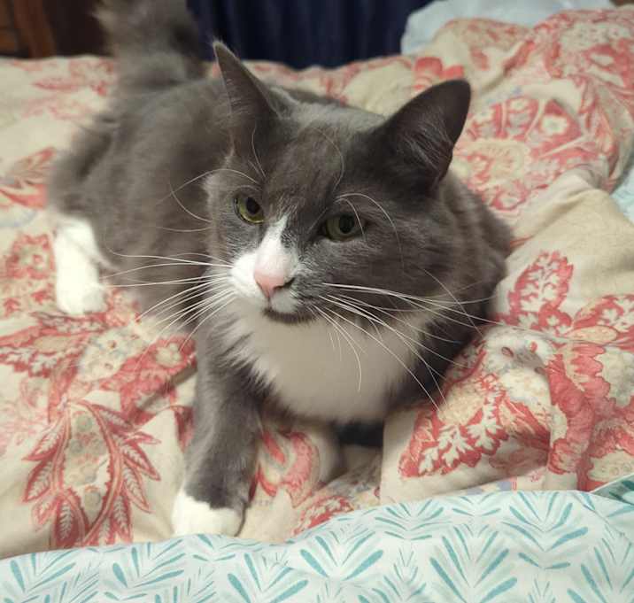 Photo of Grayson