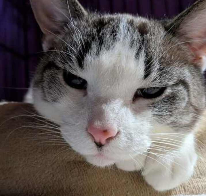 Photo of Ganache