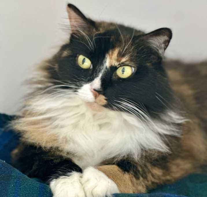 Photo of Nell