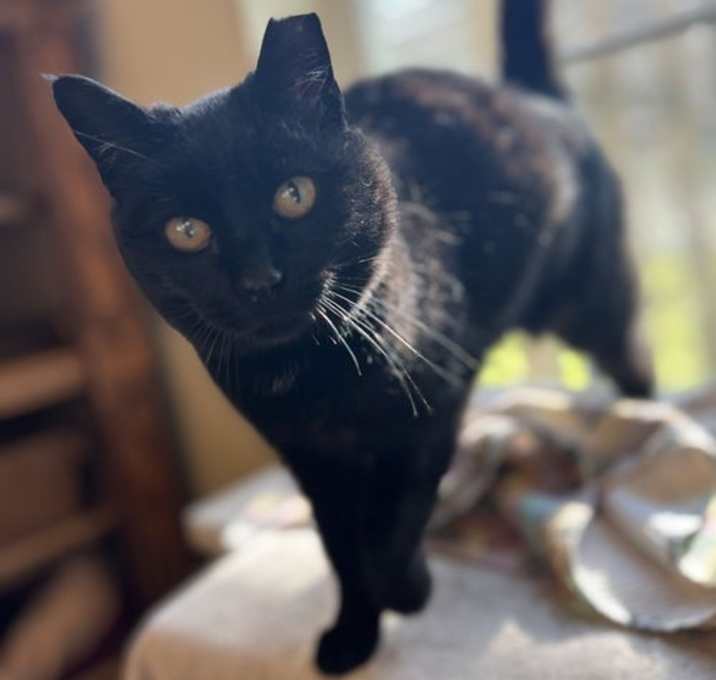 Photo of Arwen