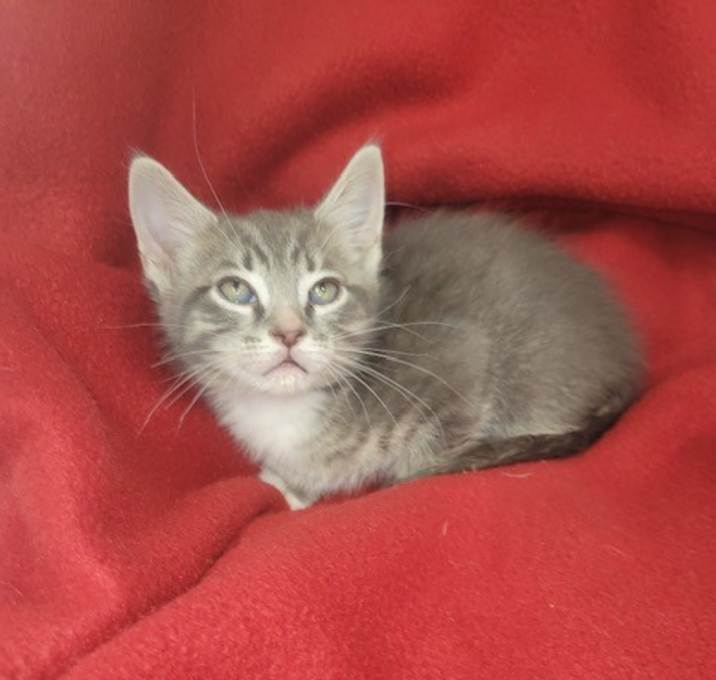 Photo of Sterling