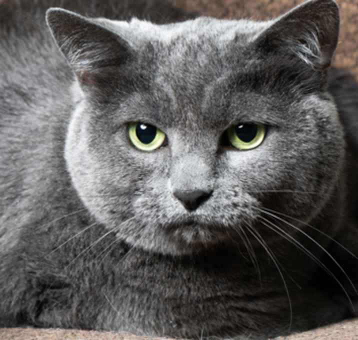 Photo of Matilda