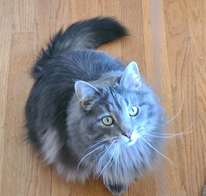 Photo of Cinders