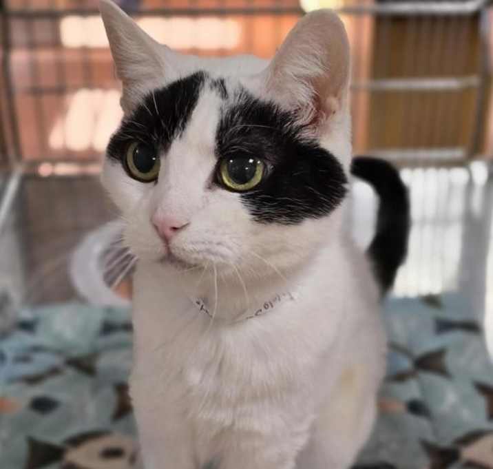 Photo of Precious