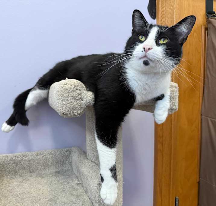 Photo of Phantom