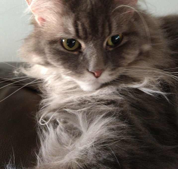 Photo of Ashley