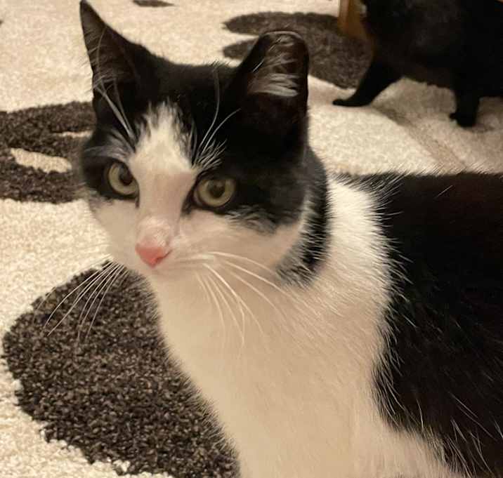 Photo of Wally
