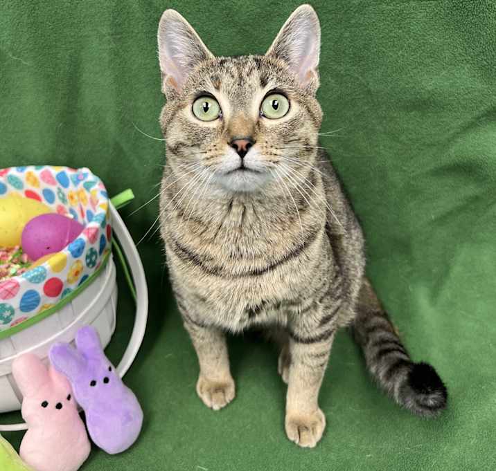Photo of Holly
