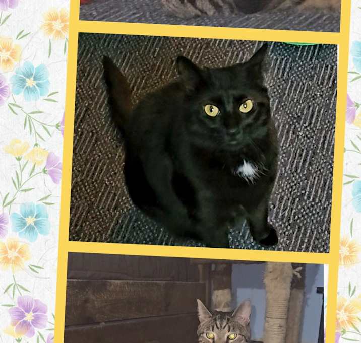 Photo of Betty & Didi