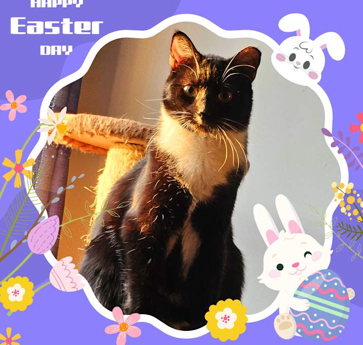 Photo of Missie