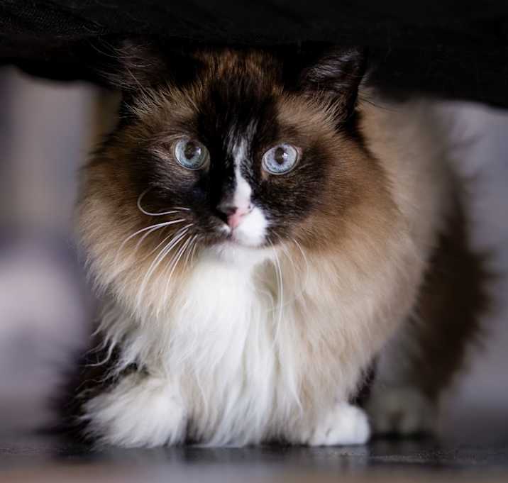 Photo of George