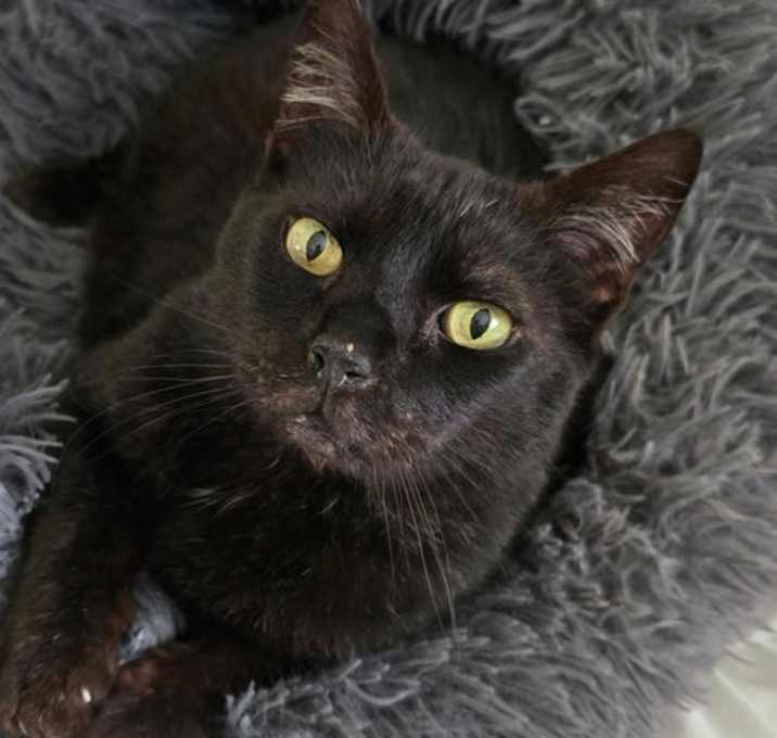 Photo of Freya