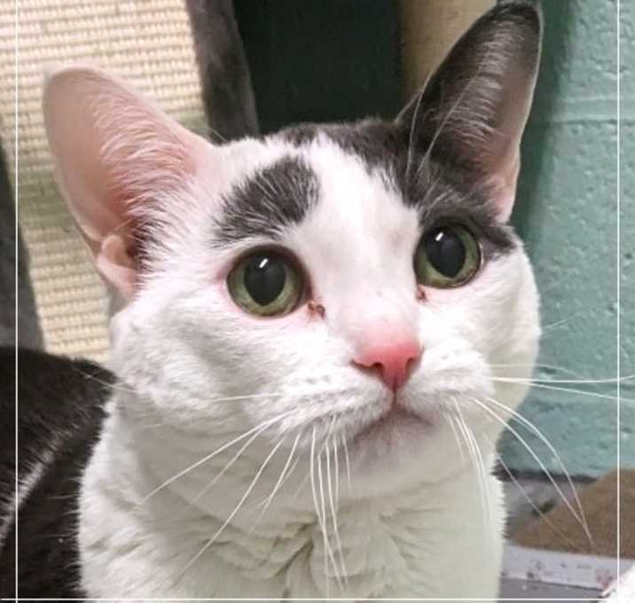 Photo of Disco