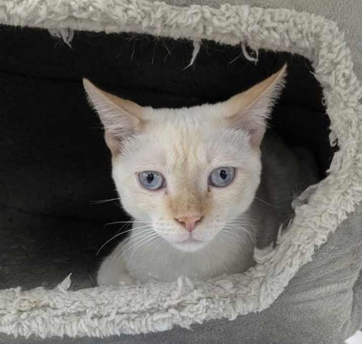 Photo of Fergus