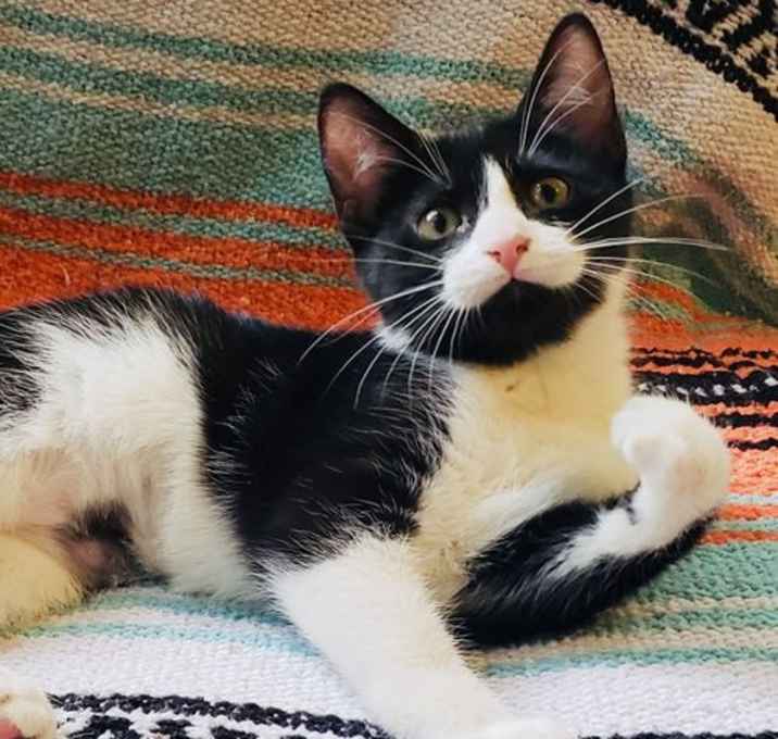 Photo of Wednesday