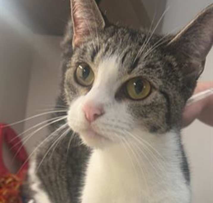 Photo of BETTY