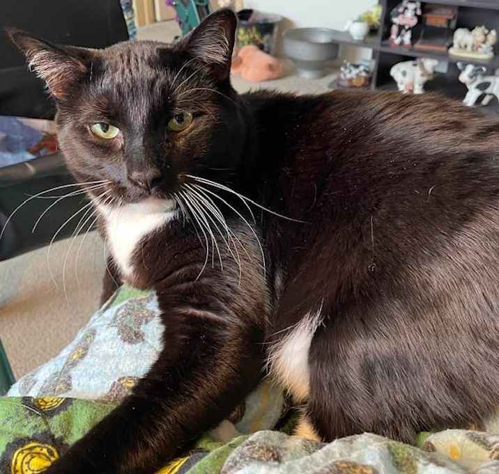 Photo of Jack