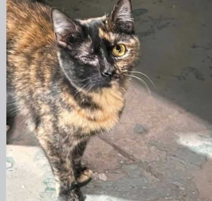 Photo of Winnie