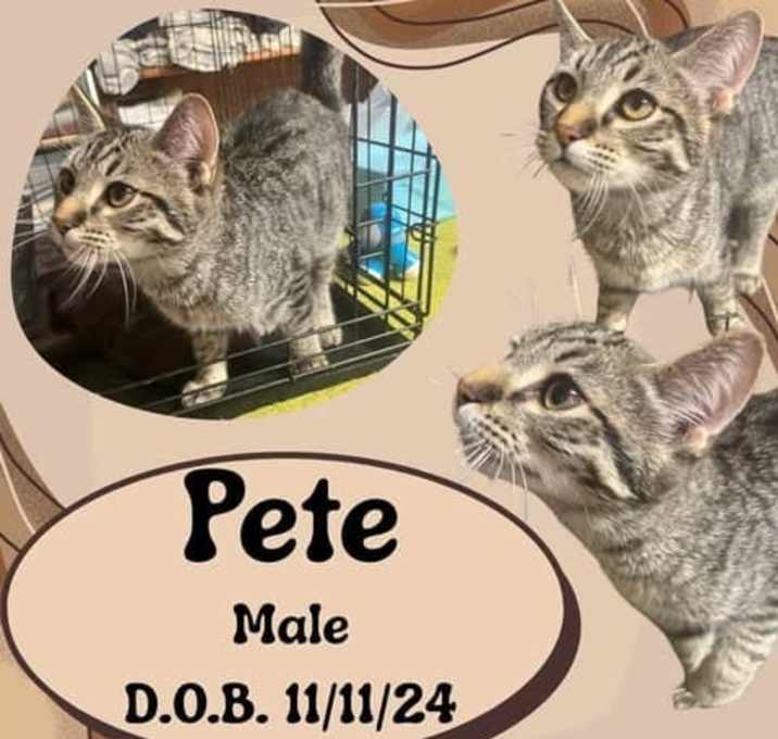 Photo of Pete