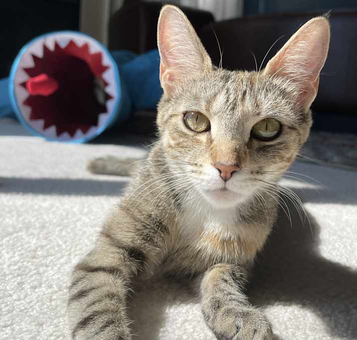 Photo of Mimi
