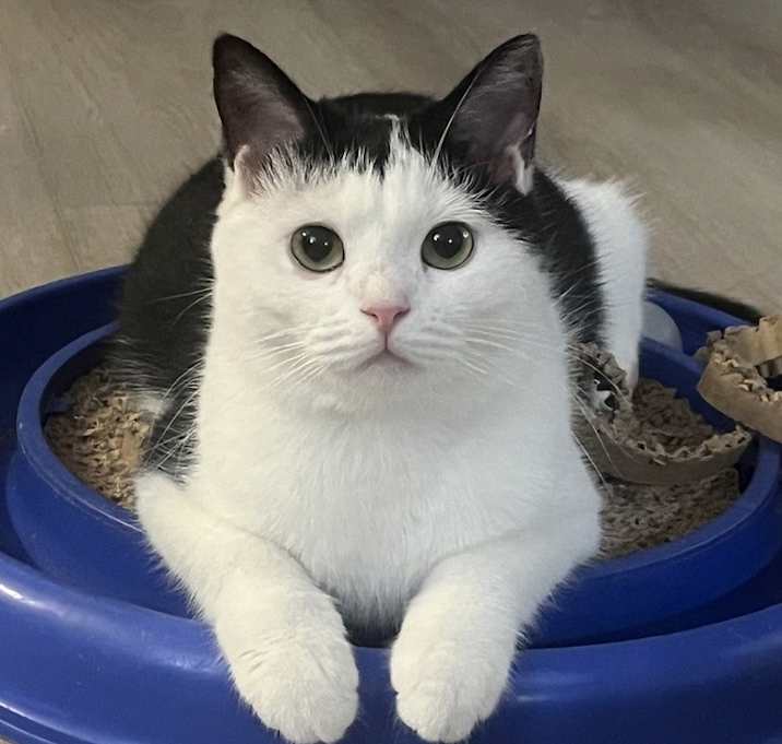 Photo of Puppa
