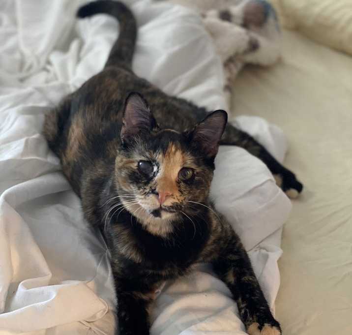 Photo of Phoebe