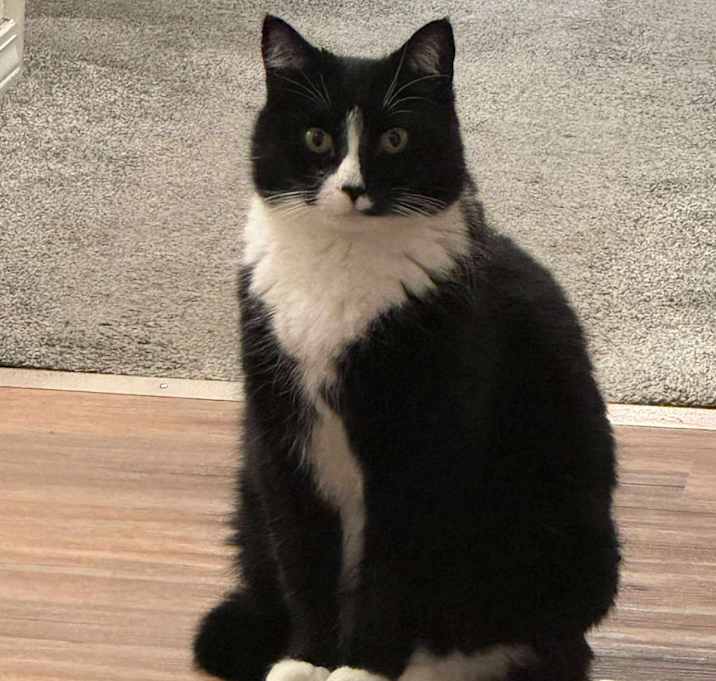 Photo of Boots