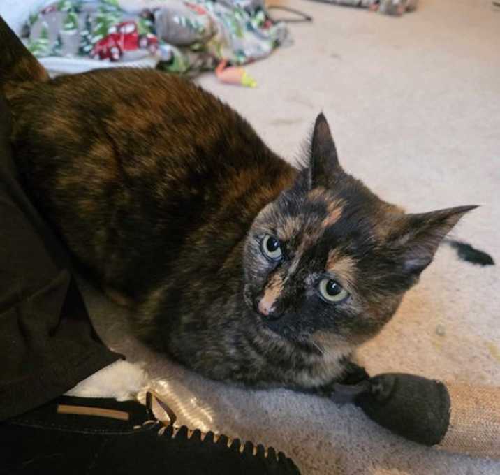 Photo of Tori