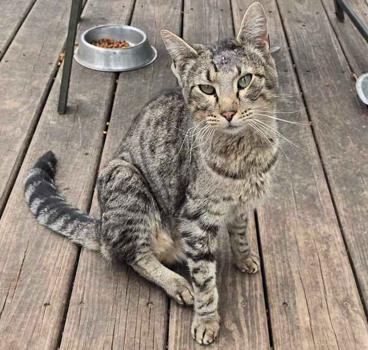Photo of Cisco