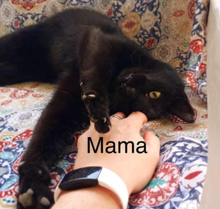 Photo of Mama (Kiki)