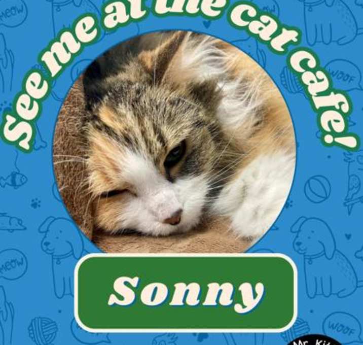 Photo of Sonny