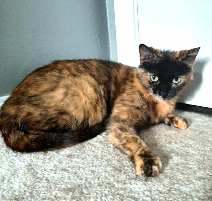 Photo of Shawnee