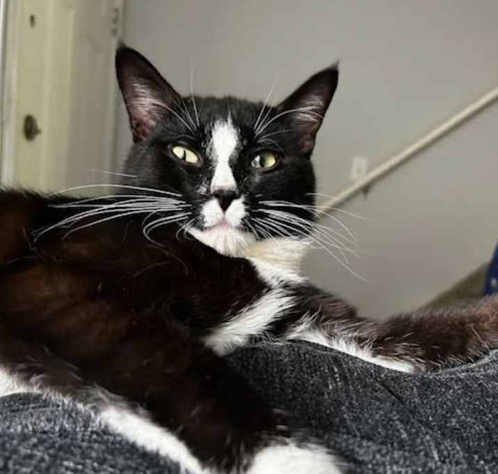 Photo of Clarence