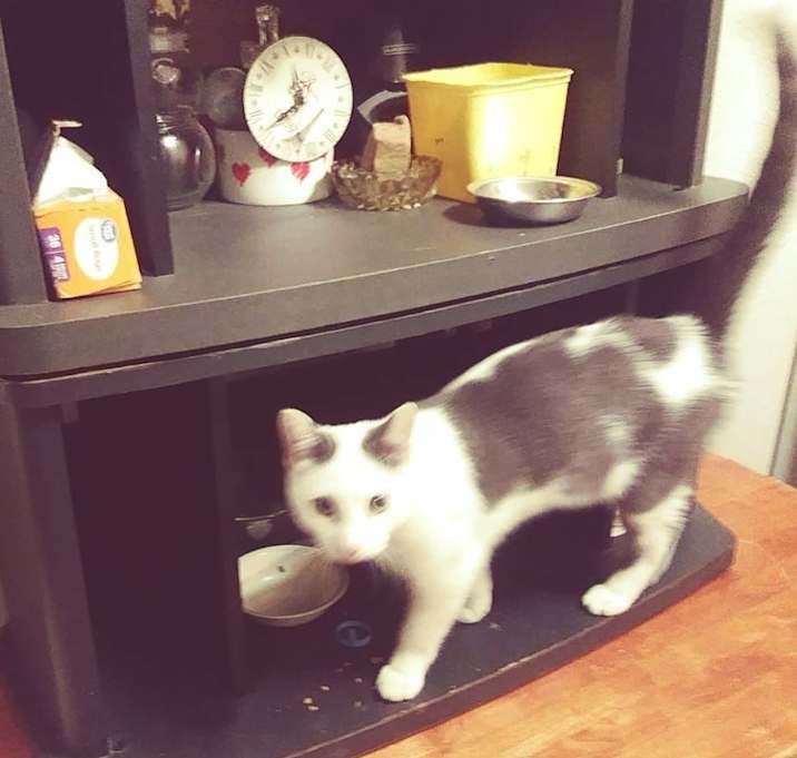 Photo of Boo-BOO