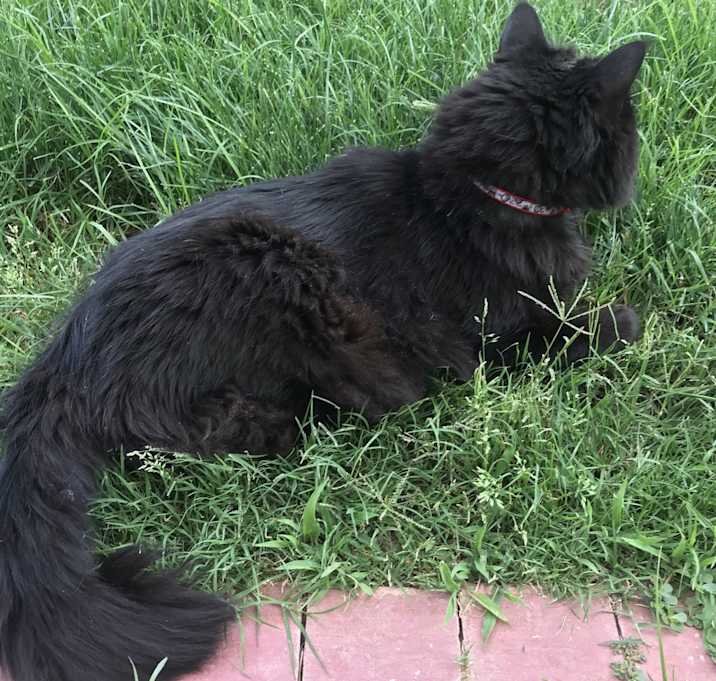 Photo of Starbuck