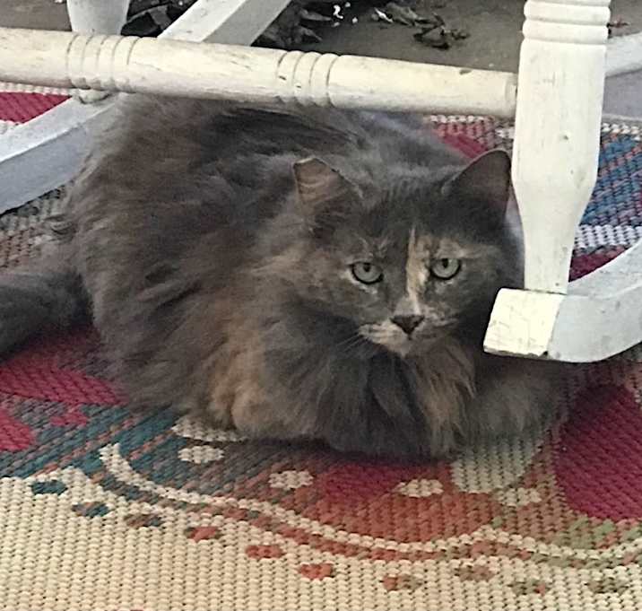 Photo of Kate
